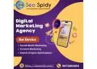 Seospidy Prowess in Social Media Marketing Unveiled in Noida