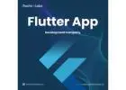 iTechnolabs - Most relevant Flutter App Development Company in California (2024)